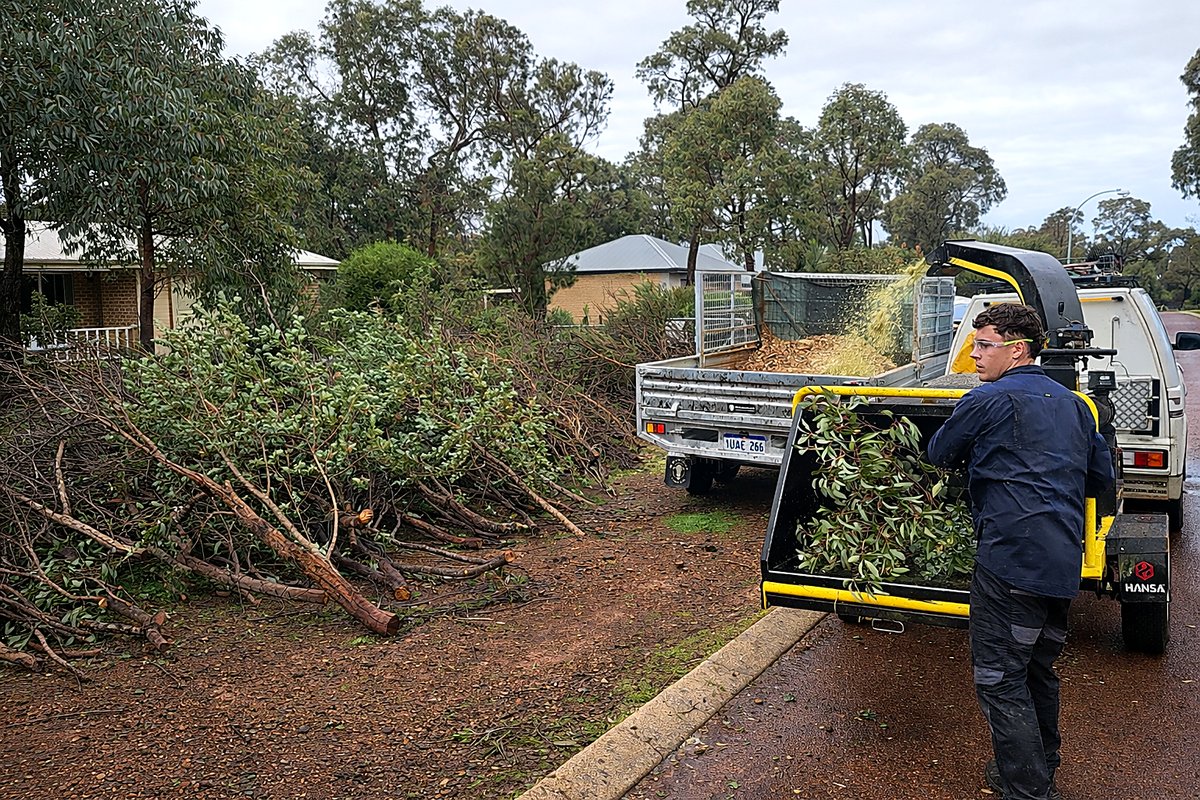 On-site chipping of cleared green waste — reducing trips, faster job, less verge mess